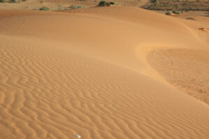 desert níger